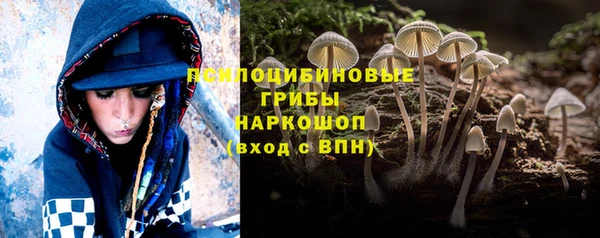 а пвп мука Верхний Тагил