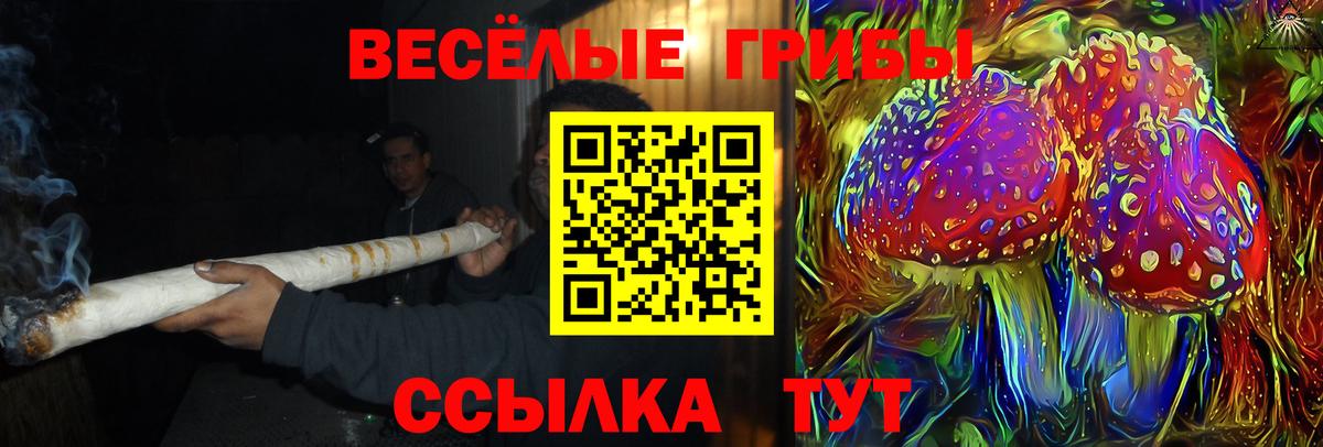 Галлюциногенные грибы GOLDEN TEACHER Ейск